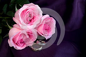 Beautiful Engagement Rings with Pink Roses on Purple Background