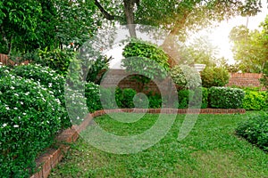 Beautiful English cottage garden, colorful flowering plant on smooth green grass lawn with orange brick wall