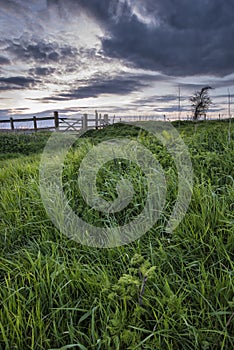 Beautiful English countryside landscape over fields at sunset