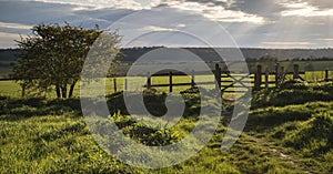 Beautiful English countryside landscape over fields at sunset