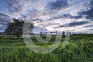 Beautiful English countryside landscape over fields at sunset