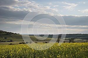 Beautiful English countryside landscape over fields at sunset