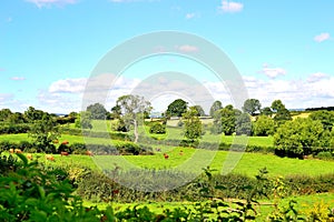 beautiful English countryside landscape in summer near Ludlow in England