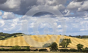 Beautiful English Landscape with striped hill after harvest, tre