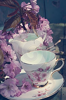 Beautiful, English, vintage teacup with Japanese cherry tree blossoms