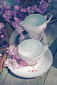 Beautiful, English, vintage teacup with Japanese cherry tree blossoms