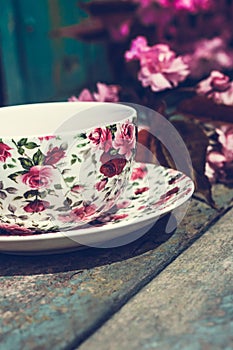 Beautiful, English, vintage teacup with Japanese cherry tree blossoms,