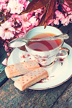 Beautiful, English, vintage teacup with Japanese cherry tree blossoms,