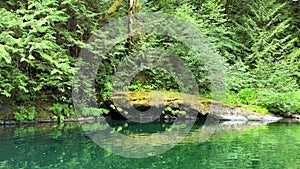 Beautiful Englishman River Waterfalls upper section , Parksville, British Columbia, Canada