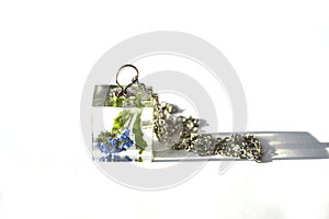 Beautiful epoxy resin jewelry with real dried flowers - forget me not.