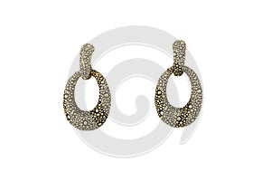 beautiful errings isolated on  background
