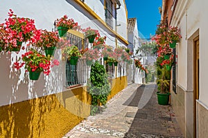 The beautiful Estepona, little and flowery town in the province of Malaga, Spain.