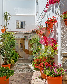 The beautiful Estepona, little and flowery town in the province of Malaga, Spain.