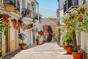 The beautiful Estepona, little and flowery town in the province of Malaga, Spain.