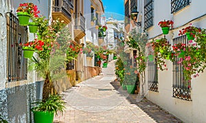 The beautiful Estepona, little and flowery town in the province of Malaga, Spain.