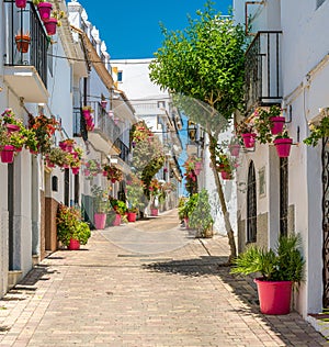 The beautiful Estepona, little and flowery town in the province of Malaga, Spain. photo