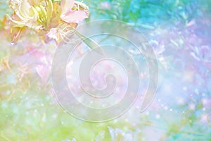 Beautiful Ethereal Tree Blossom Background