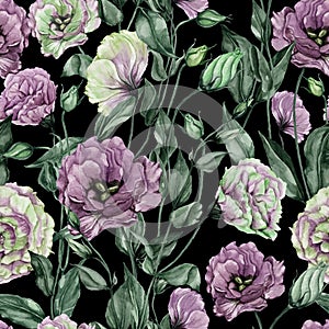 Beautiful eustoma flowers lisianthus with leaves and closed buds on black background. Seamless floral pattern.