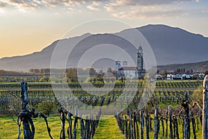 Beautiful evening countryside landscape in Vipava valley, Slovenia