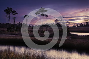 Beautiful Evening Sky Over Saint Marks Wildlife Refuge