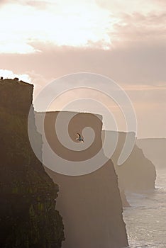 Beautiful Evening View of Cliffs of Moher