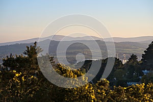 Beautiful evening view of Wicklow Mountains ridge, Carrickgollogan Hills and wild yellow gorse Ulex flowers seen from Killiney