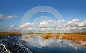 Beautiful Everglades Landscape