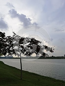 Beautiful everning view at lakeside with tree silhouette. Nature concept photo