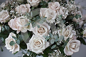 Beautiful exclusive roses