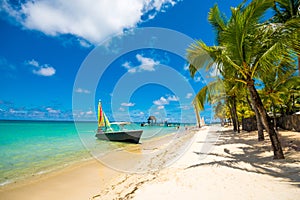 Beautiful exotic beach in Trou aux Biches, Mauritius