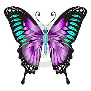 Beautiful exotic butterfly emerald purple color. Vector illustration on a white background.