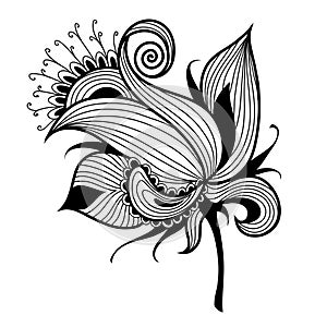 Beautiful exotic flower.