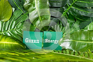 Beautiful expressive white inscription Green Energy among jungle greenery, concept, Renewable Energy. Environmental protection,