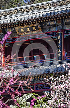 traditional chinese architectur, many flowers ahead photo