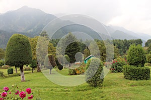 Beautiful eye catching view of the gardens in Pahalgam