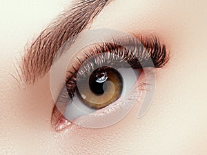 Beautiful face makeup. Long natural eyelashes. Perfect make-up closeup. Part of female face. Glamour lashes