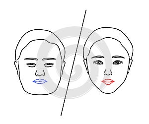 Beautiful face of a woman on a white background. Plastic surgery. Before and after. Vector.