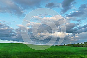 Beautiful fairy-tale clouds over a young farmer\'s field and forest. Neat rows of cereals and traces