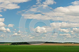 Beautiful fairy-tale clouds over a young farmer\'s field and forest. Neat rows of cereals and traces