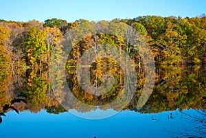 Beautiful Fall Autumn Foliage in New England USA at Risley Park Vernon Connecticut