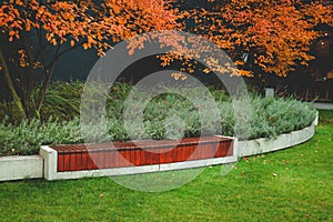 Beautiful fall background. Bench, leaves, lavender, dark wall. No people