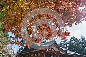 Beautiful fall color of Enryaku-ji