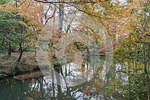 Beautiful fall color of Kyoto Botanical Garden