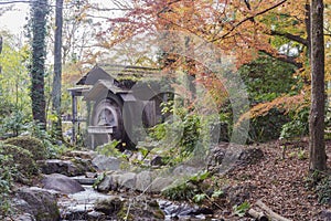 Beautiful fall color, mill wheel of Kyoto Botanical Garden