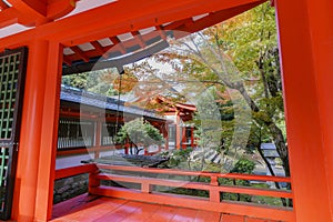 Beautiful fall color and Omi Jingu