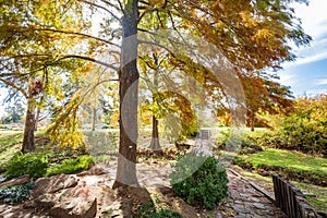 Beautiful fall color of the Will Rogers Gardens
