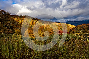 Beautiful fall colors abound on the Blue Ridge Parkway in October photo