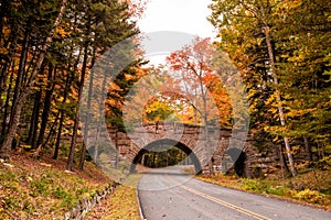 Beautiful fall colors of Acadia National Park in Maine