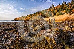 Beautiful fall colors of Acadia National Park in Maine