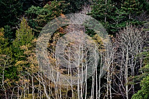 Beautiful fall colors at Esquimalt Lagoon, Victoria, BC Canada